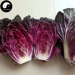 Купить овощи капуста Semente 200 шт. завод китайский фиолетовый лист Brassica Pekinensis