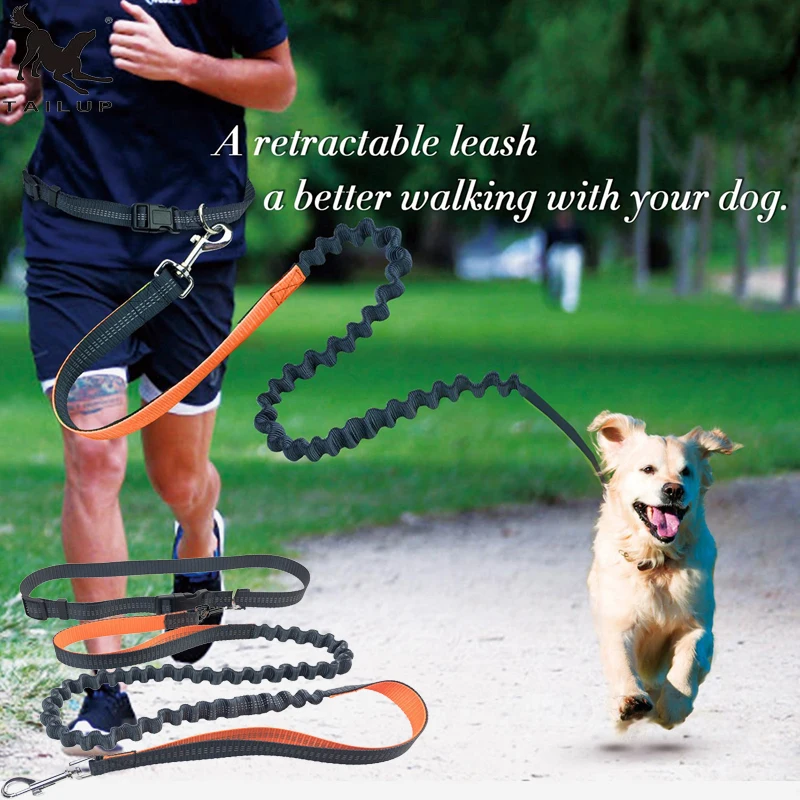 

[TAILUP]Dog Leash Rope Running Elasticity Hands Free Leashes Pet Dog Collar Leashes with Adjustable Waist Rope Dog Rope CL108