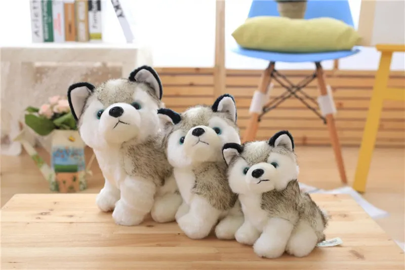 3950755466_960577503