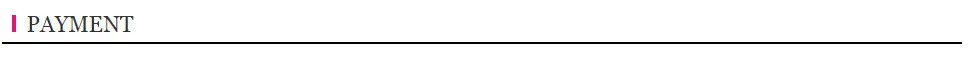 3. PAYMENT 