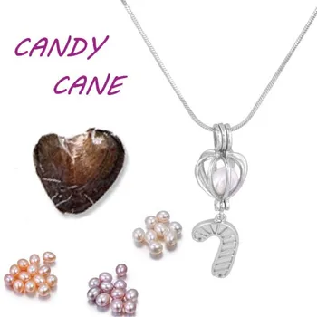 

Candy cane Silver Plated natural vacuum oyster Pearl Cage Pendant 18 inches snake chain charming Jewelry birthday Gifts PO128