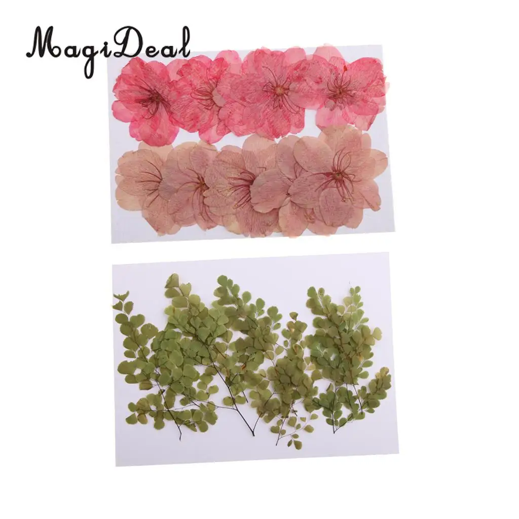 Buy 20 Pieces Natural Pressed Dried Sakura Flower