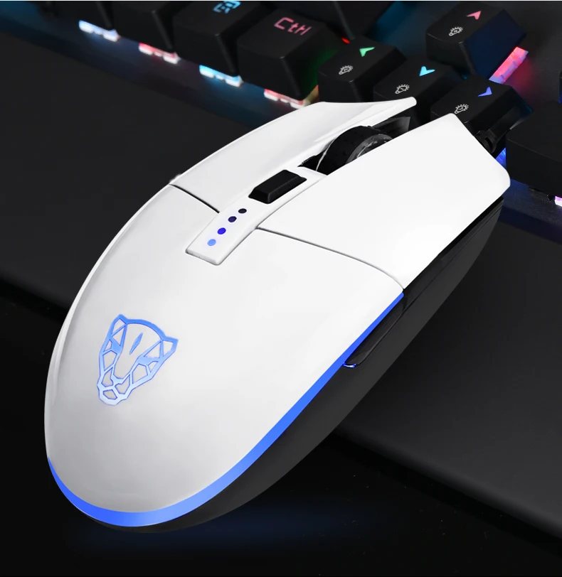 V50_13