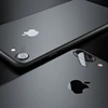 Mobile Phone Accessories