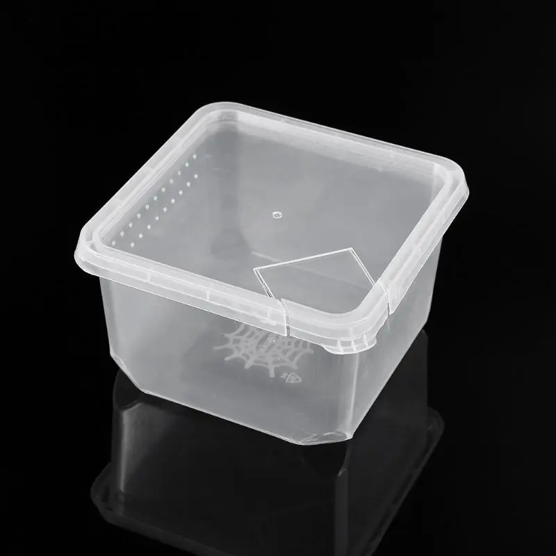 

High Quality Reptile Terrarium Feeder Breeding Box Tortoise Spider Lizard Beetle Insect House
