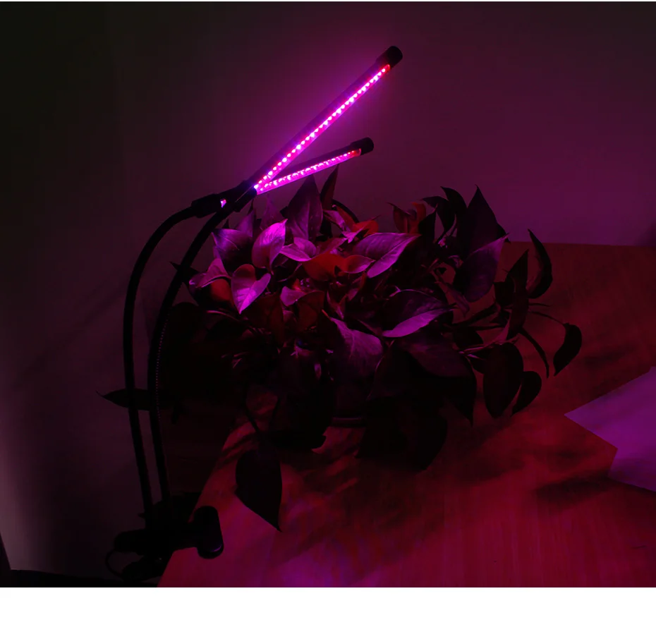 Лампа для растений 20 Вт двойная головка зажим светодиодный растительный свет затемненный растительный светодиодный Ac100-240V Usb зарядка Дом