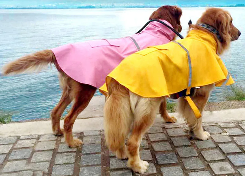 Waterproof dog coat
