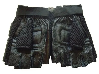 ak b1 (2)
