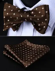 Классический bc806zs коричневый бежевый Проверьте Боути Для мужчин Шелка Самостоятельная галстук-бабочку платок Набор