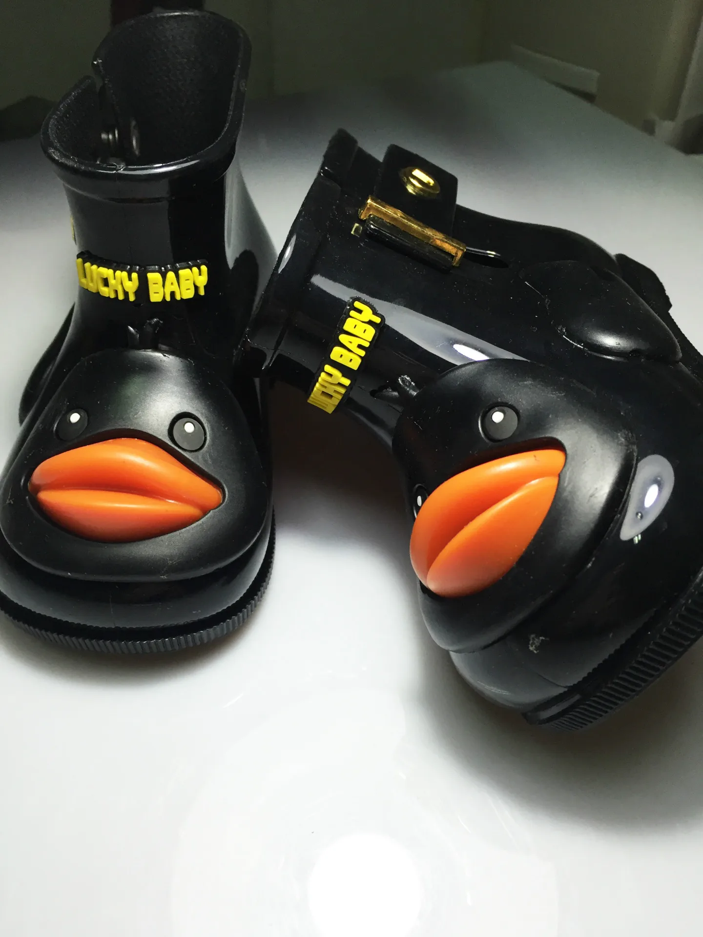 IMG_1229