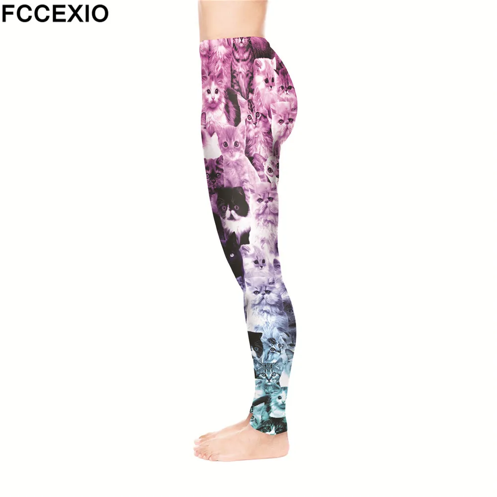 52176 CATS OMBRE PINK (3)