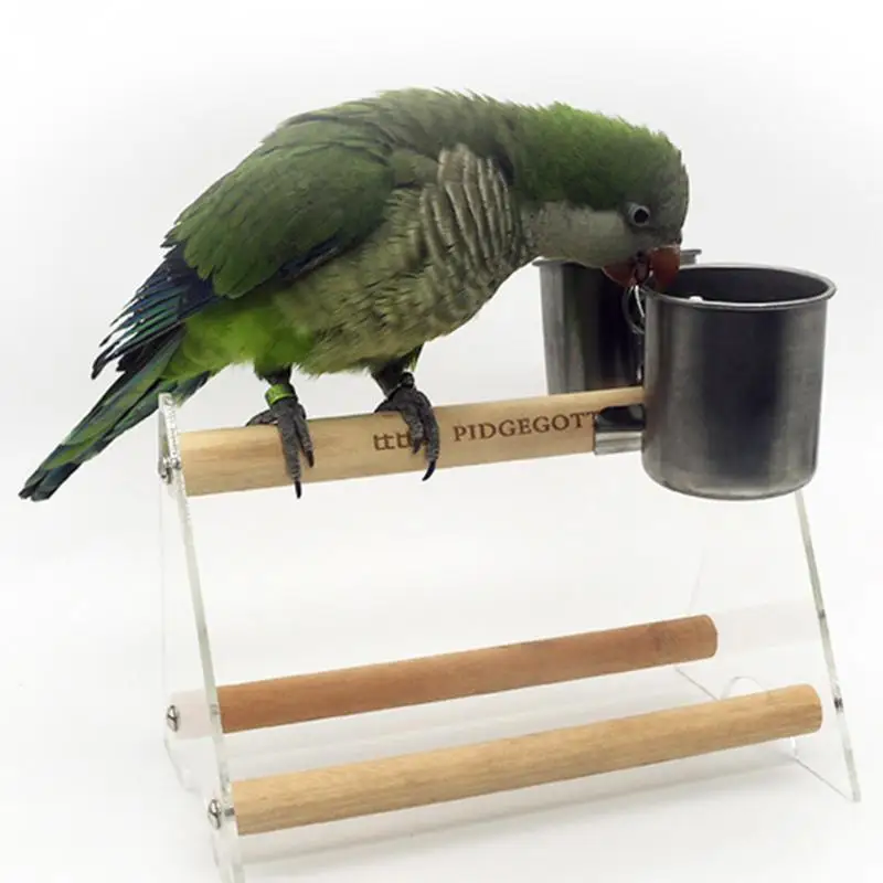 

Bird Feeder Cups Food Water Feeding Bird Double Cups With Clip Stainless Steel Parrot Cage Stand Bird Supplies 2019 Hot New