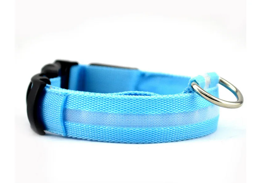dog collar 1 (24)