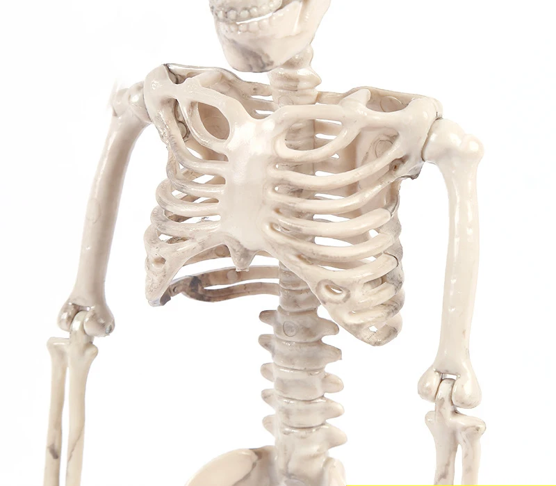 9058236613_2098354695