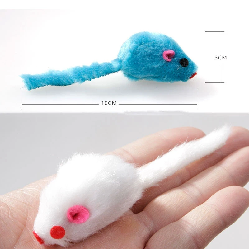 toys for kittens