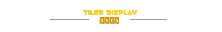 SAXA实物展示