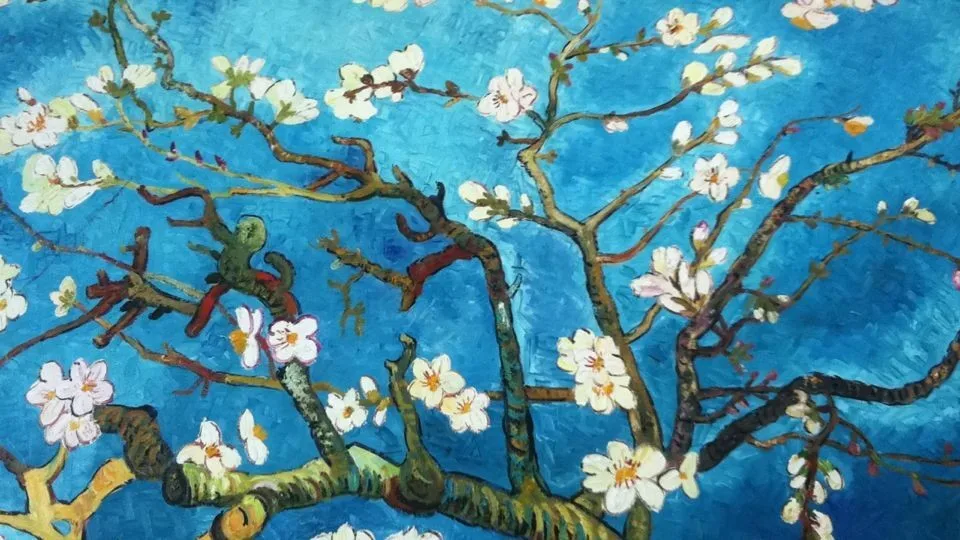 branches of an almond tree (1)