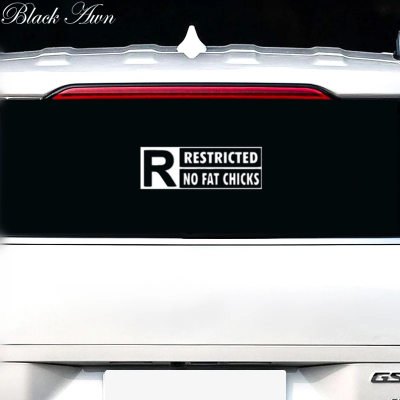

No fat chicks JDM car window sticker decal D109