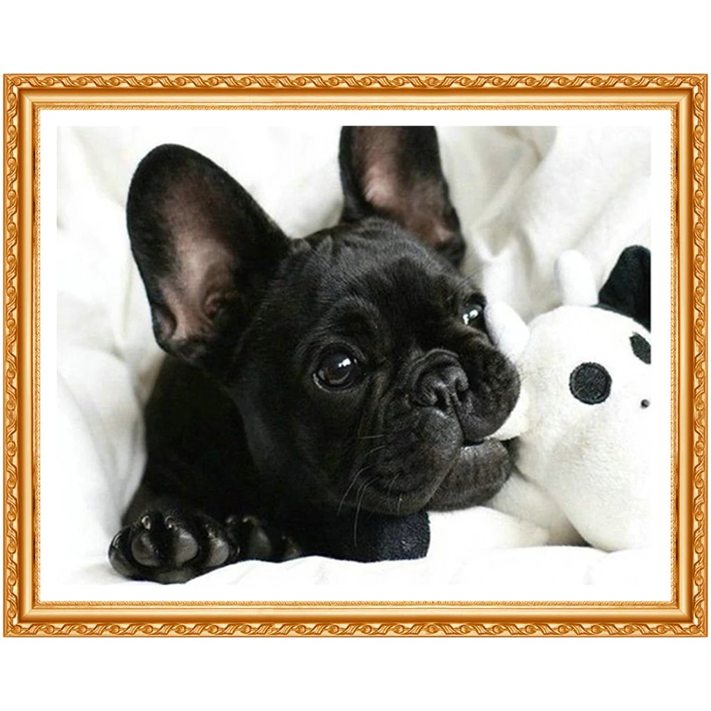 Touoilp DIY алмазная живопись черный французский Бульдог полная Алмазная вышивка собаки квадратная и круглая алмазная паста узор бусины