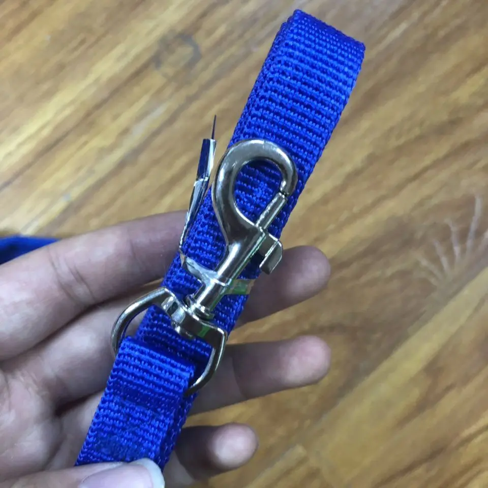 QQ图片20190702104411