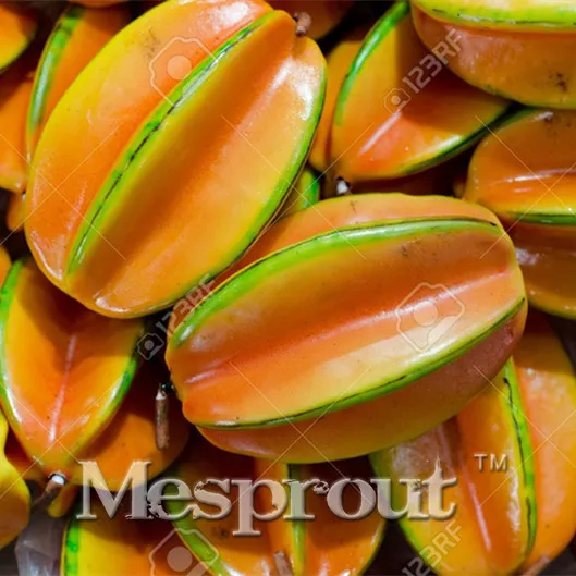 

50pcs Carambola Bonsai Star Fruit Rare Sementes Averrhoa Carambola Plant Tree Garden Bonsai Pots Woody Plants Free Shipping