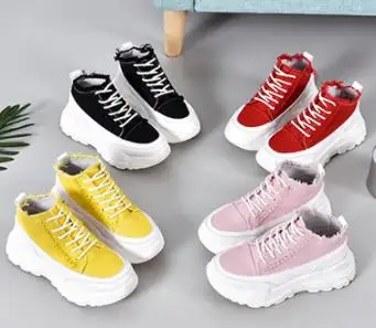 36020190320091337899