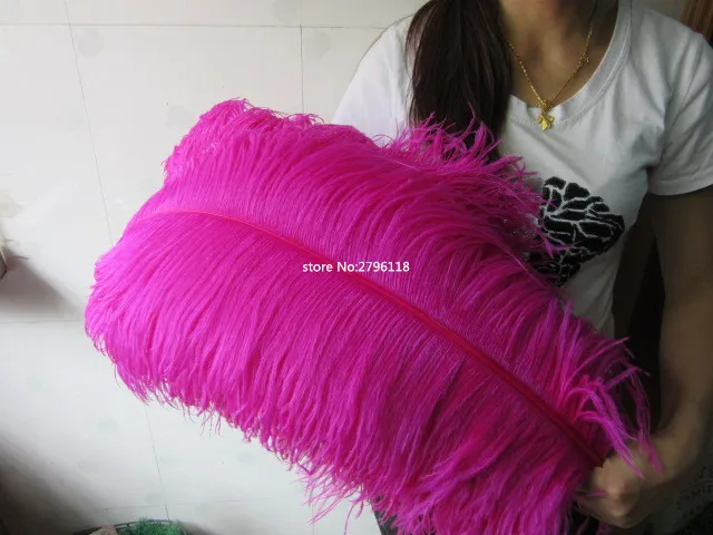 where to purchase ostrich feathers