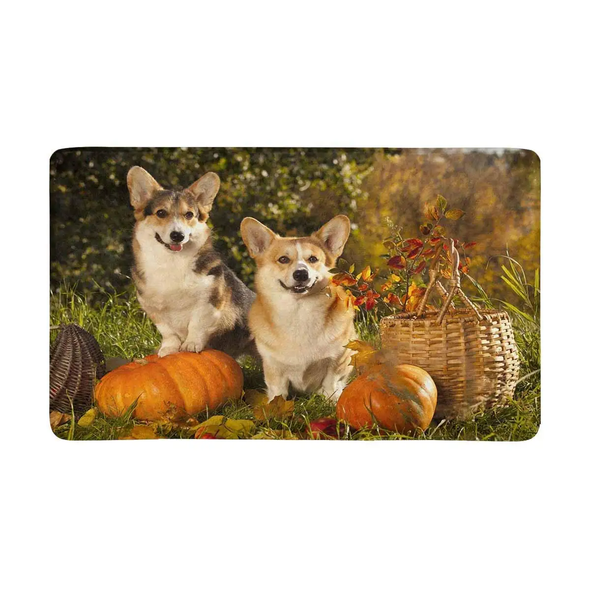 Welsh Pembroke Dog Doormat Anti Slip Entrance Mat Floor Rug