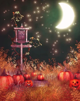 

VinylBDS Backdrop Fantasy Sky Bright Moon Halloween Photographic Background Pumpkin Kate Background Backdrop
