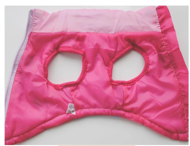 dog winter clothes (11)