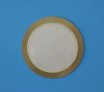 

Parallel Circular Bicrystalline Piezoelectric Wafer Ceramics 40 Mm in Diameter and Substrate 50 Mm in Diameter