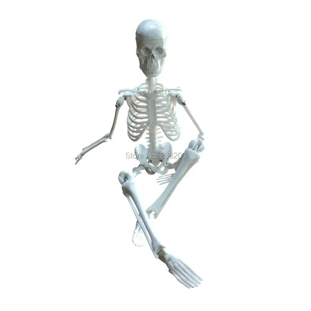 51vrkTSrVKL._SL1000_