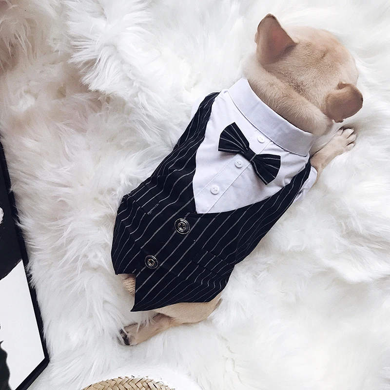 Bigeyedog мопса французская одежда для бульдога мужской костюм собаки свадебная