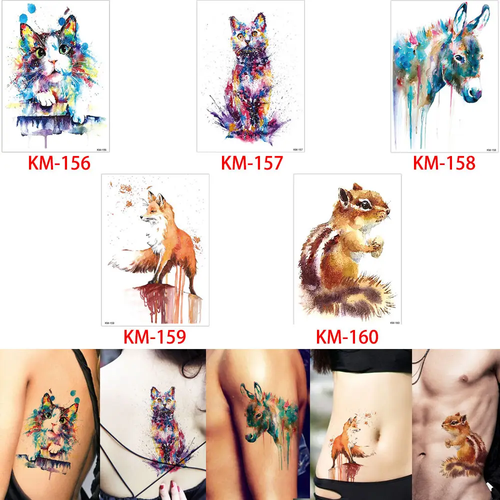 KM-AMAUS-30  - 