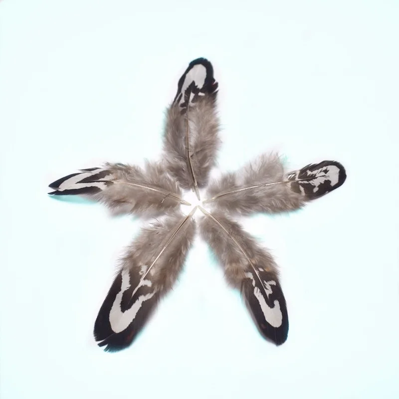

20pcs Natural Pheasant Feathers for jewelry making 5-8cm DIY feathers materials for clothes Stage mask Plumes party Decorations