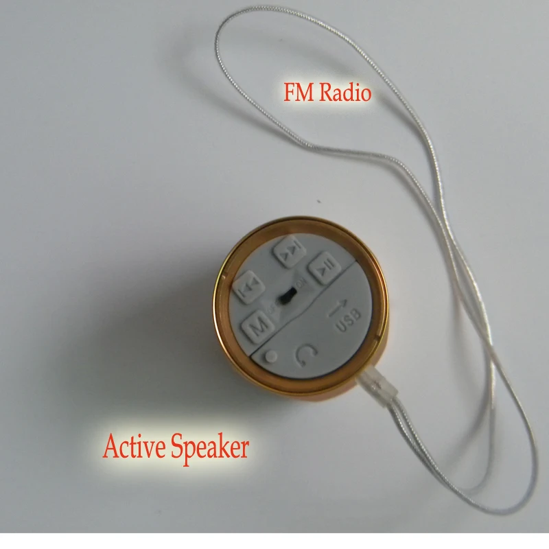 FM RAIDO SPEAKER