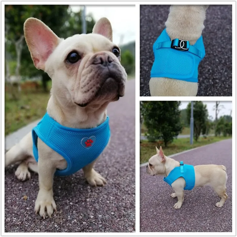 dog harness (2)