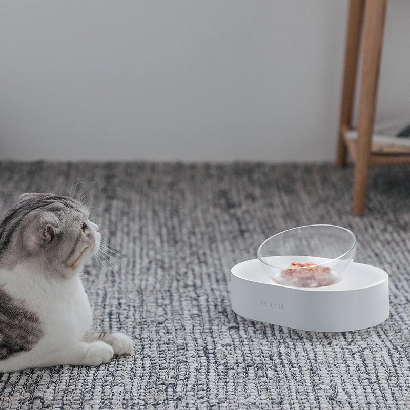 Cuencos De Comida Para Gatos Luccalily Platos Para Gatos De Cuencos De Comida Para Gatos Luccalily Platos Para Gatos De