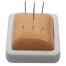 Acupuncture and moxibustion students practice acupoints