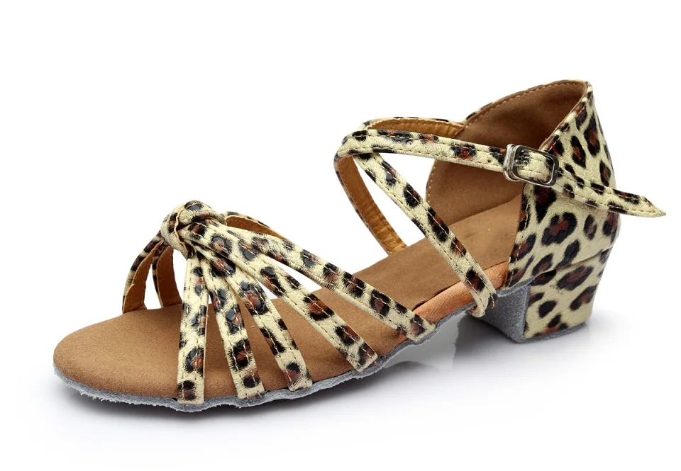 Детская танцевальная обувь; обувь для латинских танцев; обувь для танго, сальсы; обувь для салонов для женщин и девочек; Высококачественная обувь; ; C02D - Цвет: leopard