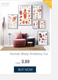 Human Organs Anatomy Medical Canvas Art Painting Posters And Prints Wall Pictures Living Room Decorative Home Decor No Frame