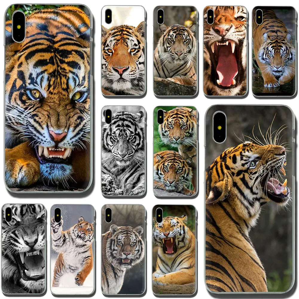 Жесткий чехол для телефона с изображением животного тигра iPhone SE 2020 11 Pro 6 6S Plus 7 8 X XS