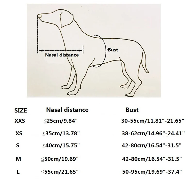 Balacoo Chien Aveugle Halo Harnais Dispositif De Guidage Du Harnais Anneau Anti Collision Pour Animaux De Compagnie Aveugles De La Cataracte Chats Chiens Harnais Veste Youngunsofarizona Chiens Balacoo Chien Aveugle Halo Harnais Dispositif De Guidage Du Harnais Anneau Anti Collision Pour Animaux De Compagnie Aveugles De La Cataracte Chats Chiens Harnais Veste Youngunsofarizona Chiens