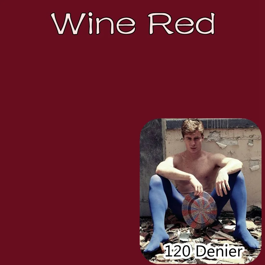 Мужские супер эластичные колготки 120D бархатные сексуальные колготки для мужчин нейлоновые колготки разноцветные чулки для мужчин - Цвет: wine red