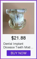 Alta Qualidade Dental Typodon Dentes Modelo - Ortodôntico Steelteeth M8017 29 High Quality Beleza e saúde