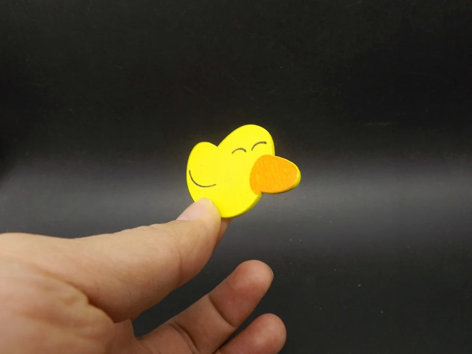 I407-Duck (2)