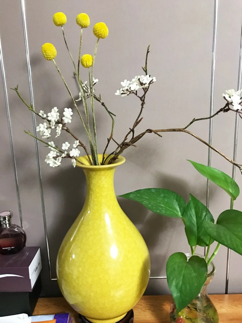 JAROWN Natural Dried Flowers Gold Ball Eternal Flores For Wedding DIY Bouquet Decorations Home Flower Arrangement Art (19)