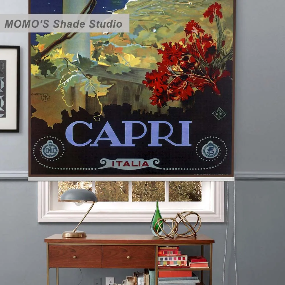 MOMO Roller Blinds Painting Window Blinds Shades Blackout Zebra Blinds