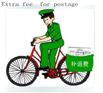 

Extra fee for EMS UPS or TNT