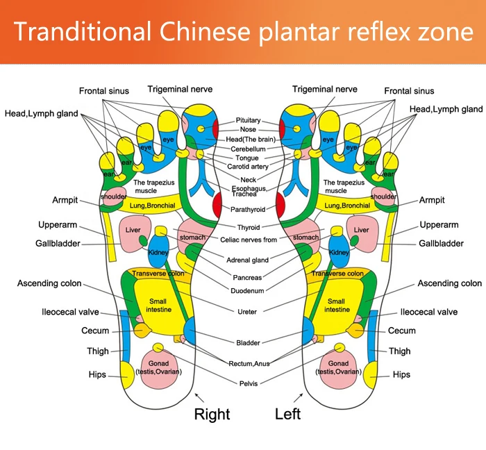 reflex
